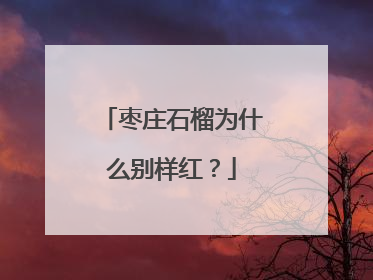 枣庄石榴为什么别样红？