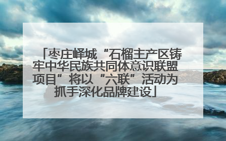枣庄峄城“石榴主产区铸牢中华民族共同体意识联盟项目”将以“六联”活动为抓手深化品牌建设