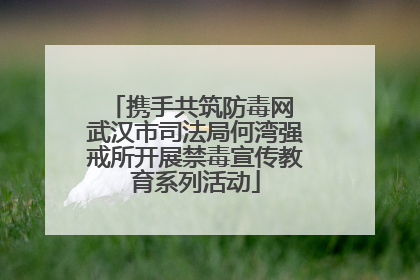 携手共筑防毒网 武汉市司法局何湾强戒所开展禁毒宣传教育系列活动