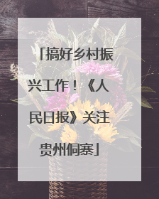 搞好乡村振兴工作！《人民日报》关注贵州侗寨