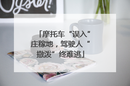 摩托车“误入”庄稼地，驾驶人“撒泼”终难逃