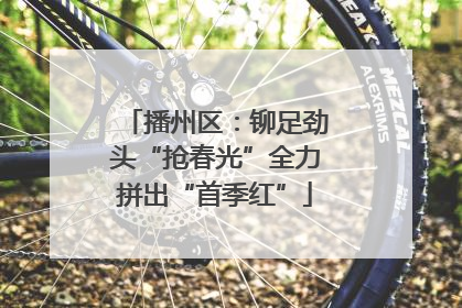 播州区：铆足劲头“抢春光”全力拼出“首季红”