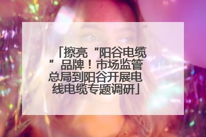 擦亮“阳谷电缆”品牌！市场监管总局到阳谷开展电线电缆专题调研