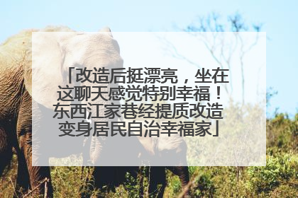 改造后挺漂亮，坐在这聊天感觉特别幸福！东西江家巷经提质改造变身居民自治幸福家