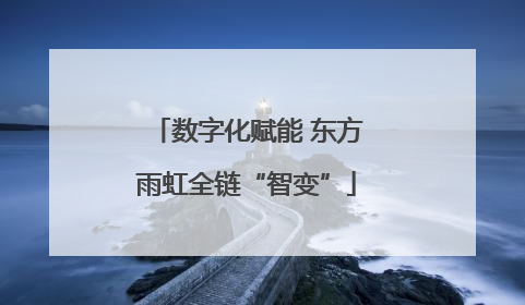 数字化赋能 东方雨虹全链“智变”