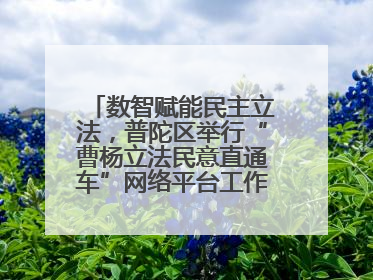 数智赋能民主立法，普陀区举行“曹杨立法民意直通车”网络平台工作推进会