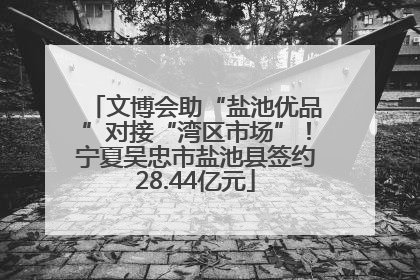 文博会助“盐池优品”对接“湾区市场”！宁夏吴忠市盐池县签约28.44亿元