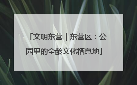 文明东营｜东营区：公园里的全龄文化栖息地