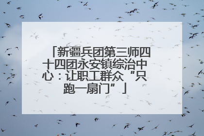 新疆兵团第三师四十四团永安镇综治中心：让职工群众“只跑一扇门”