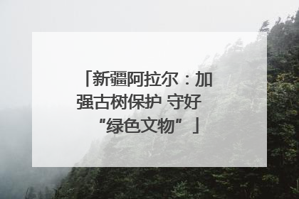 新疆阿拉尔：加强古树保护 守好“绿色文物”