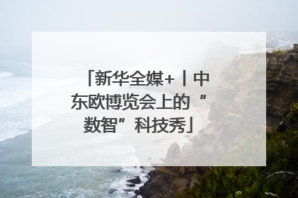 新华全媒+丨中东欧博览会上的“数智”科技秀