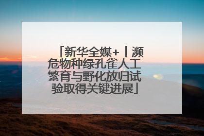 新华全媒+丨濒危物种绿孔雀人工繁育与野化放归试验取得关键进展