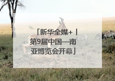 新华全媒+丨第9届中国—南亚博览会开幕