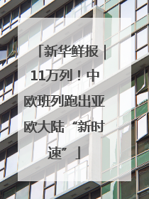 新华鲜报｜11万列！中欧班列跑出亚欧大陆“新时速”