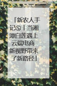 新农人手记⑤丨当湘潭白莲遇上云端电商 新视野带来了新路径