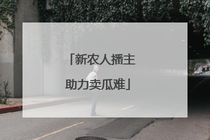 新农人播主 助力卖瓜难