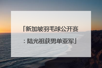 新加坡羽毛球公开赛：陆光祖获男单亚军