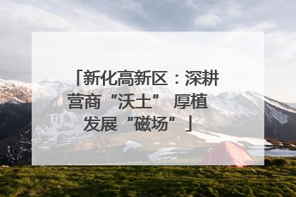 新化高新区：深耕营商“沃土” 厚植发展“磁场”