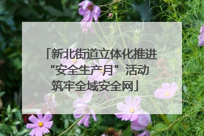 新北街道立体化推进“安全生产月”活动 筑牢全域安全网