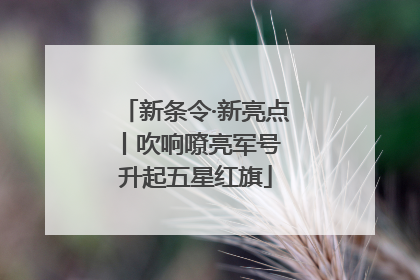 新条令·新亮点丨吹响嘹亮军号 升起五星红旗