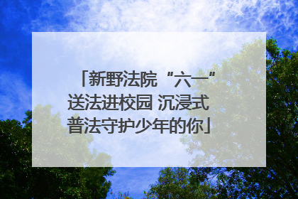 新野法院“六一”送法进校园 沉浸式普法守护少年的你