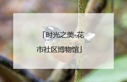 时光之美-花市社区博物馆