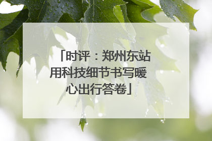 时评：郑州东站用科技细节书写暖心出行答卷