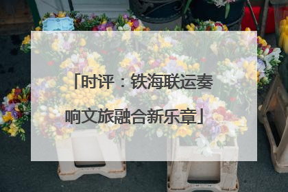 时评：铁海联运奏响文旅融合新乐章
