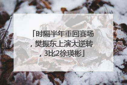 时隔半年重回赛场，樊振东上演大逆转，3比2徐瑛彬