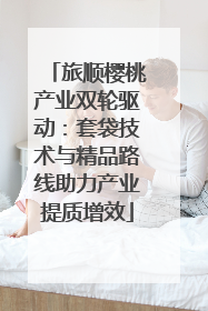 旅顺樱桃产业双轮驱动：套袋技术与精品路线助力产业提质增效