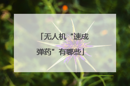 无人机“速成弹药”有哪些