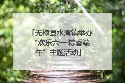 无棣县水湾镇举办“欢乐六一·粽香端午”主题活动