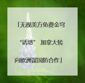 无视美方免费金穹“诱惑” 加拿大转向欧洲谋国防合作