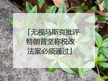 无视马斯克批评 特朗普坚称税改法案必须通过