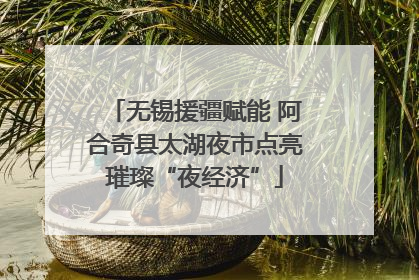无锡援疆赋能 阿合奇县太湖夜市点亮璀璨“夜经济”