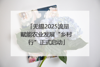 无锡2025流量赋能农业发展“乡村行”正式启动