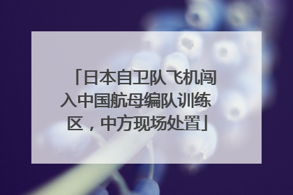 日本自卫队飞机闯入中国航母编队训练区，中方现场处置