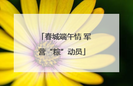 春城端午情 军营“粽”动员