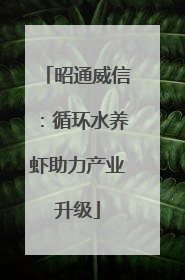 昭通威信：循环水养虾助力产业升级