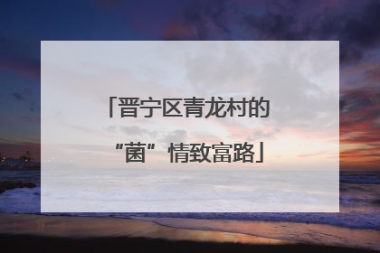 晋宁区青龙村的“菌”情致富路
