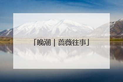 晚潮｜蔷薇往事