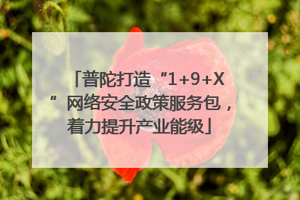 普陀打造“1+9+X”网络安全政策服务包，着力提升产业能级