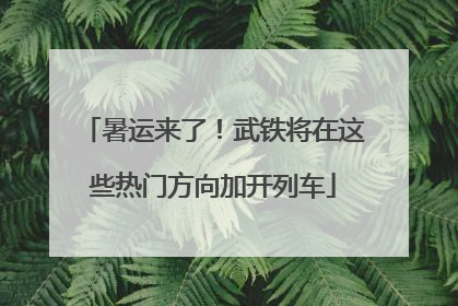 暑运来了！武铁将在这些热门方向加开列车