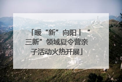 暖“新”向阳丨“三新”领域夏令营亲子活动火热开展