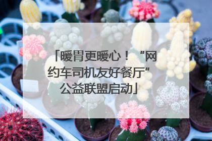 暖胃更暖心！“网约车司机友好餐厅”公益联盟启动