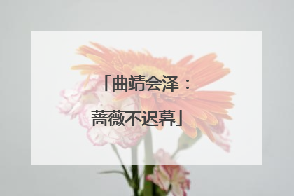 曲靖会泽：蔷薇不迟暮