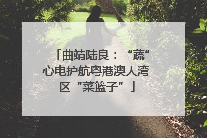 曲靖陆良：“蔬”心电护航粤港澳大湾区“菜篮子”