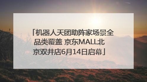 机器人天团助阵家场景全品类覆盖 京东MALL北京双井店6月14日启幕