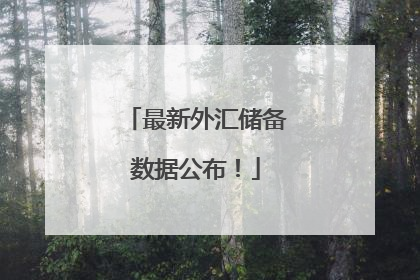 最新外汇储备数据公布！