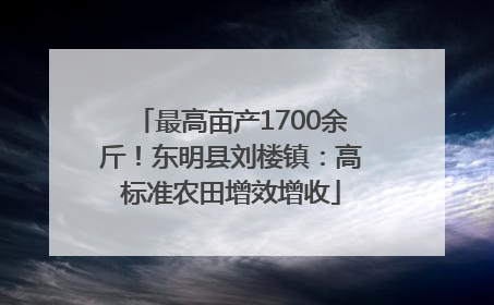 最高亩产1700余斤！东明县刘楼镇：高标准农田增效增收